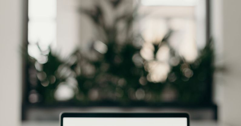 Sustainable Startup - Photo of Person's Hands Using Laptop