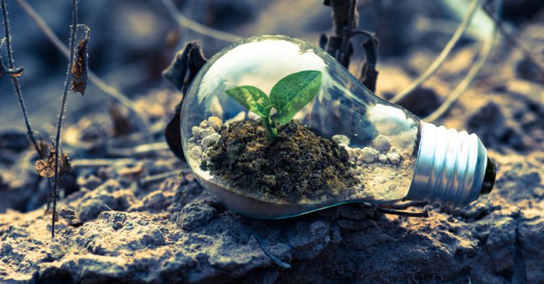 Green Energy - Clear Light Bulb Planter on Gray Rock