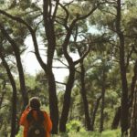 Africa Investment - A person walking through the woods with a backpack