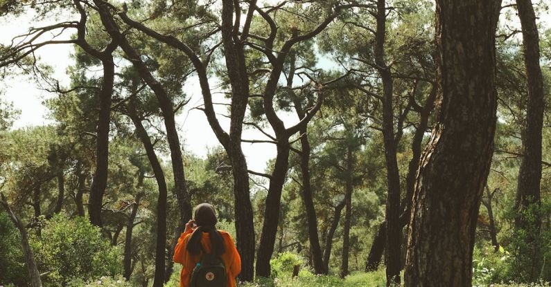 Africa Investment - A person walking through the woods with a backpack